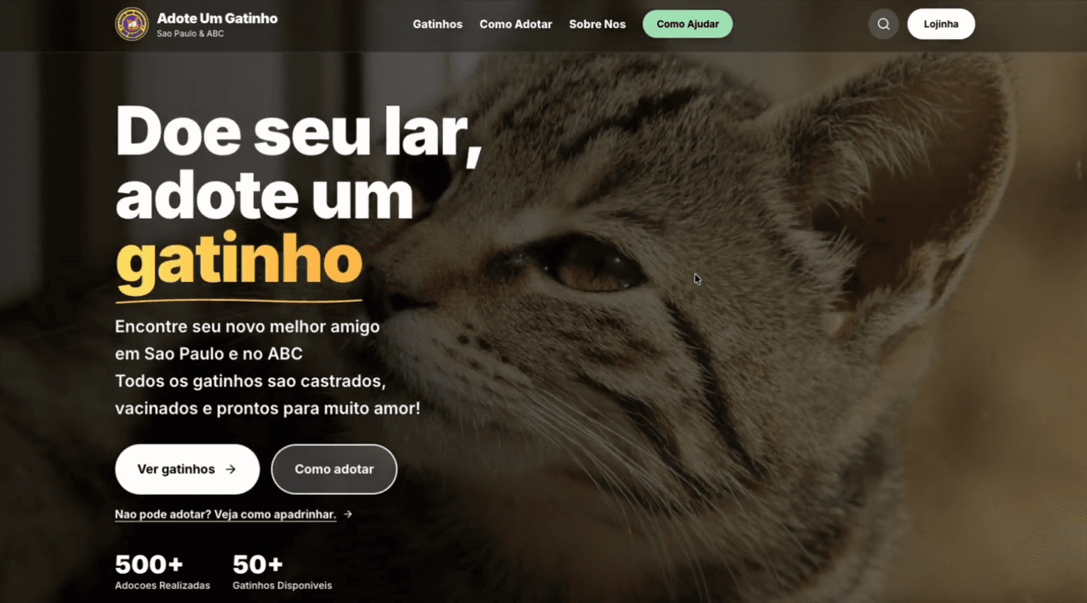 Adote Um Gatinho – AI-Powered Cat Adoption Platform